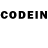 Псилоцибиновые грибы GOLDEN TEACHER Yo: entendido