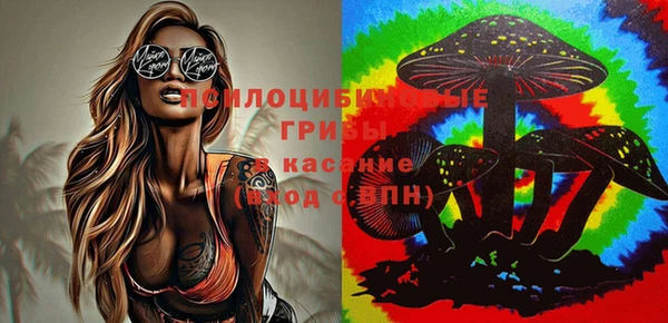 синтетический гашиш Арсеньев