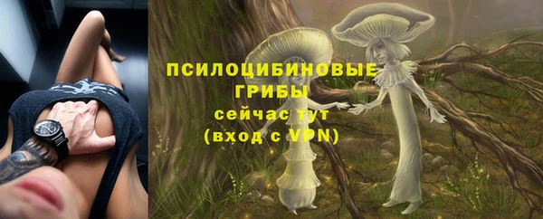 а пвп мука Аркадак